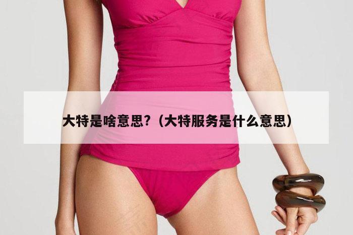 大特是啥意思?（大特服务是什么意思）